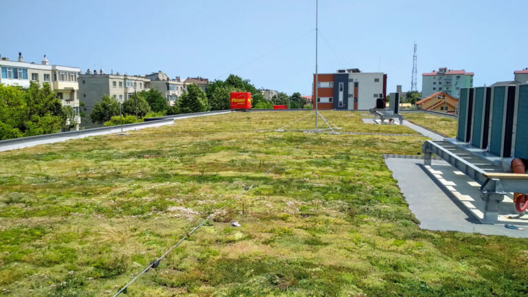 Green roof Penny Agigea, built in 2017, area 1150 sqm