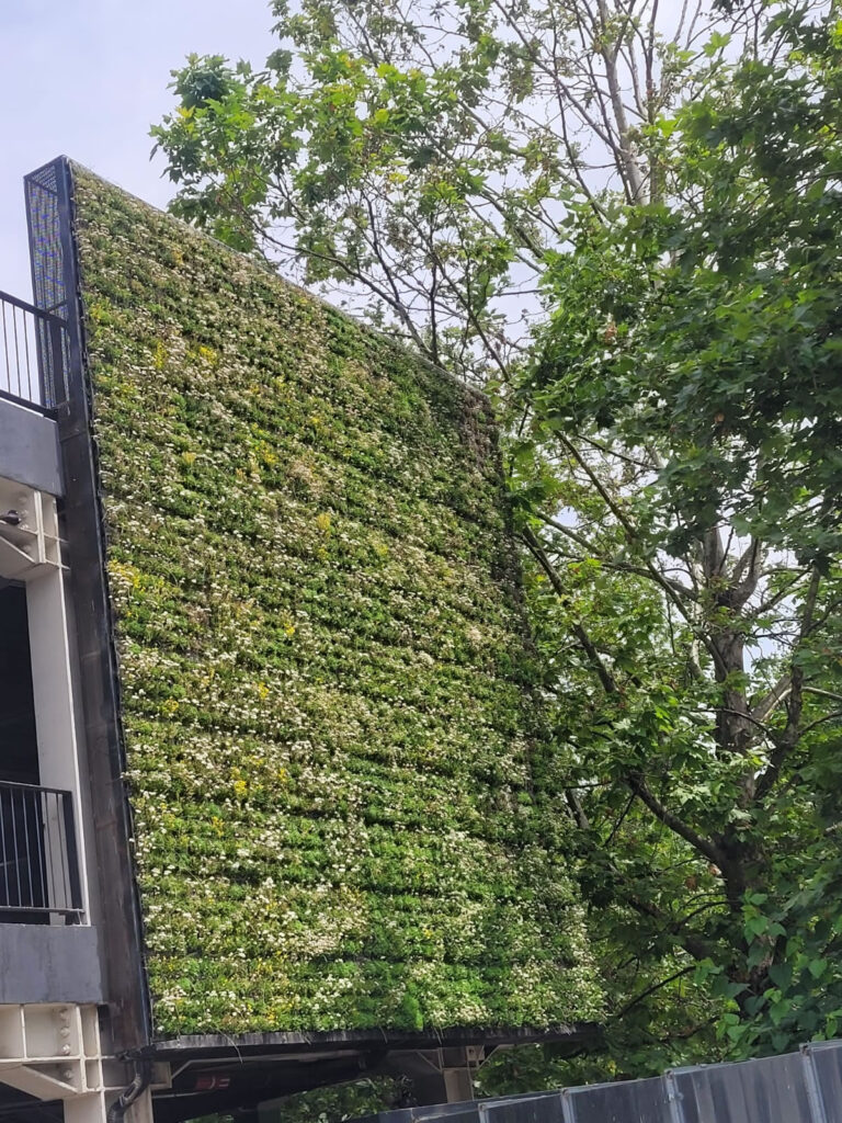 City Park Mall, Constanța, surface area 400 sqm, built in 2017