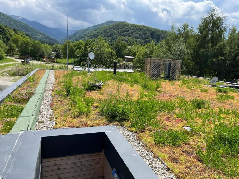 Biodiversity roof at the foot of the Făgăraș mountains, year of construction 2020