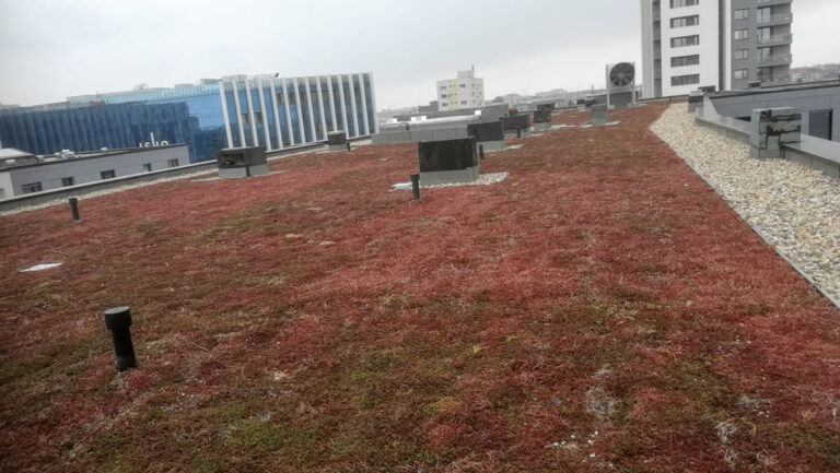 ISHO Timișoara complex green roof, plant area 1050 sqm, installed in 2021