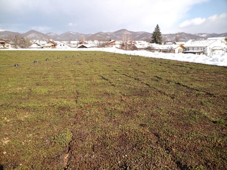 Lidl Pucioasa, extensive green roof system with sedum rolls, surface area 905 sqm, completed in 2022