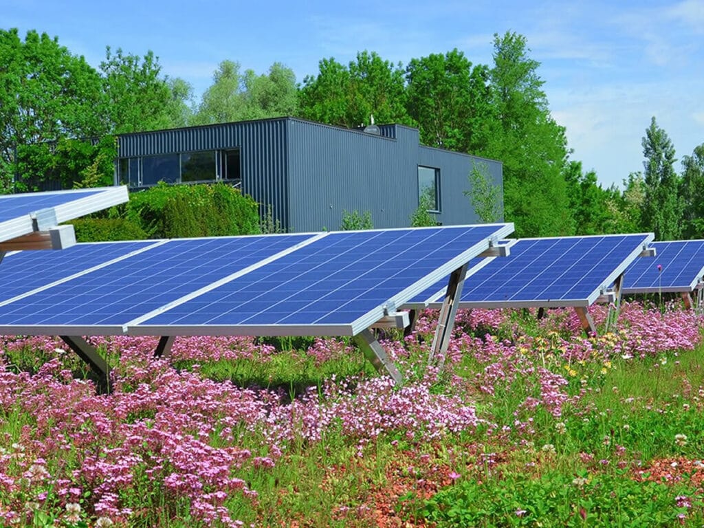 Biosolar green roofs delivering for the climate and biodiversity crises