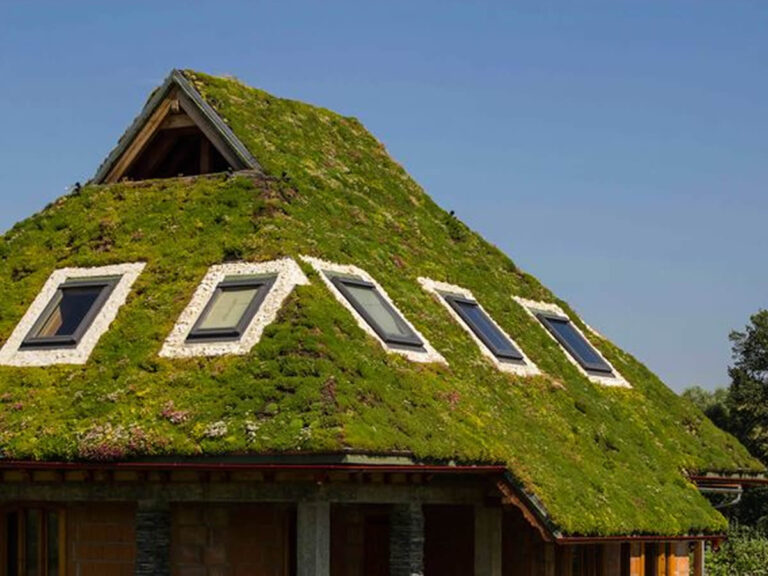 Extensive green roof 45 degree inclination, Individual, plant area 170 sqm, installed in 2016