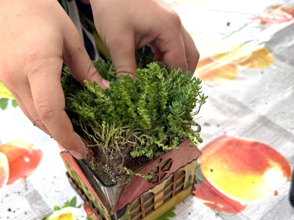 Celebrating World Green Roof Day