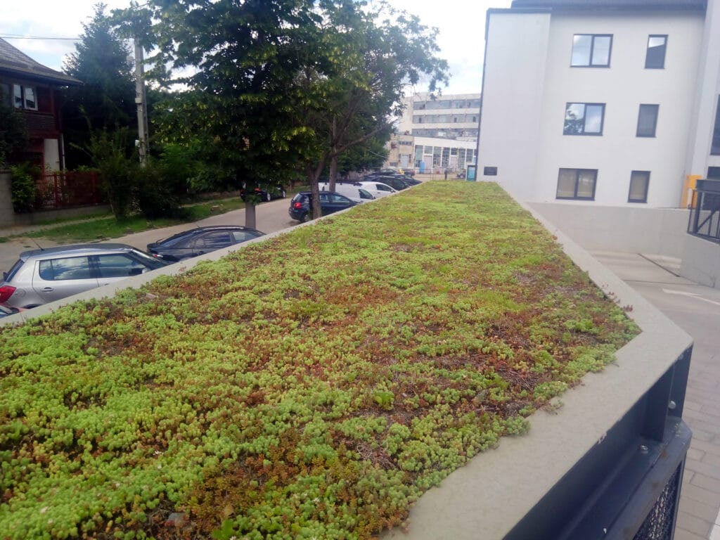 Ecosystem Services of Green Roofs and Possibilities for Their Economic Assessment