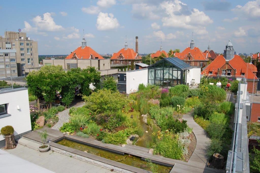 Green roofs and green walls – Essential infrastructure for resilient cities