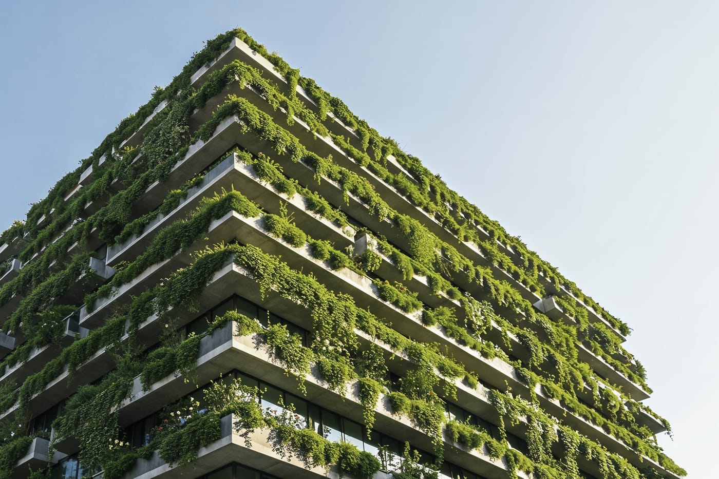 Green roofs and green walls – Essential infrastructure for resilient cities