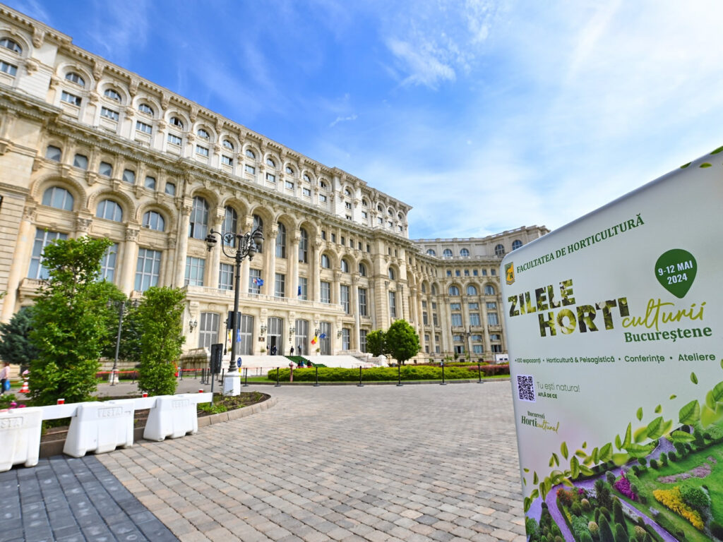 Promoting urban sustainability through education