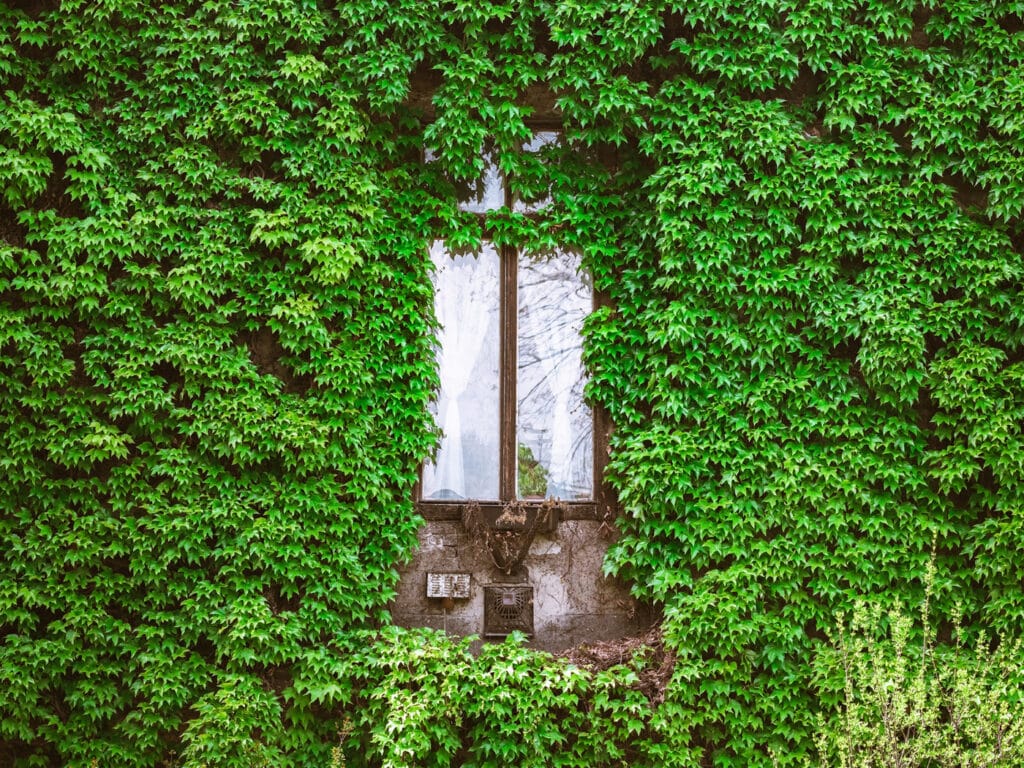 We are launching the new Converde Association brochure – 2 years of innovation and sustainability