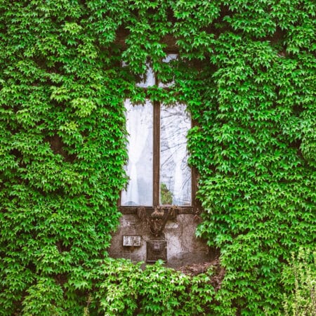 We are launching the new Converde Association brochure – 2 years of innovation and sustainability